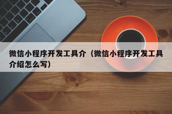 微信小程序开发工具介（微信小程序开发工具介绍怎么写）