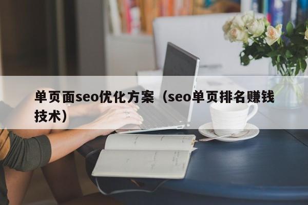 单页面seo优化方案（seo单页排名赚钱技术）