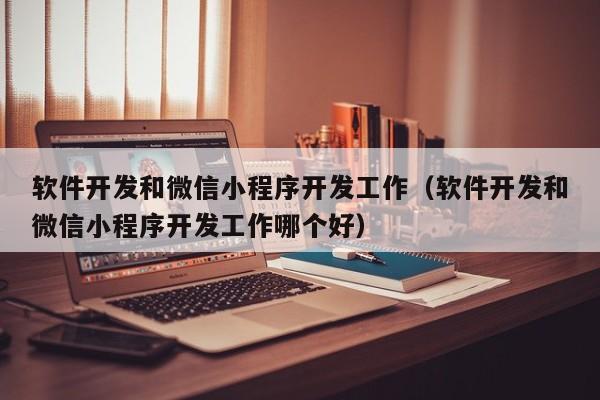 软件开发和微信小程序开发工作（软件开发和微信小程序开发工作哪个好）