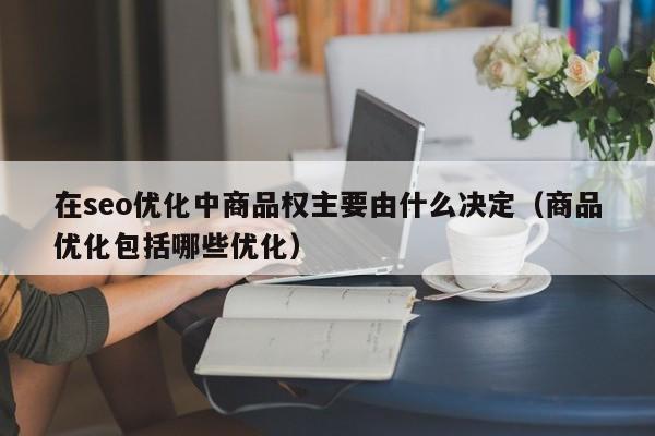 在seo优化中商品权主要由什么决定（商品优化包括哪些优化）