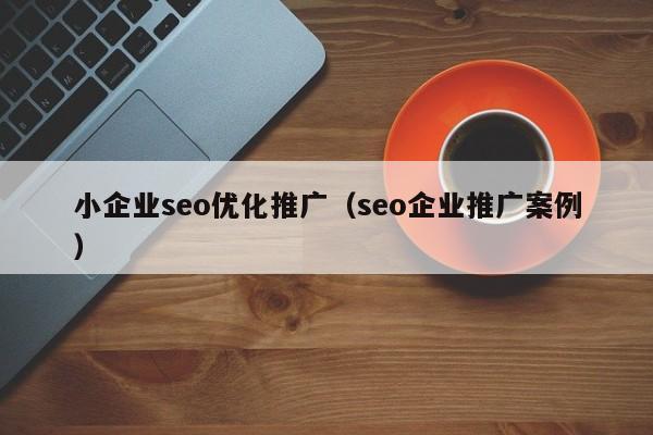 小企业seo优化推广（seo企业推广案例）