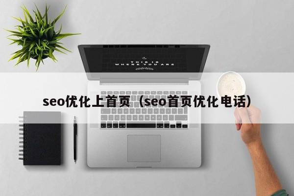 seo优化上首页（seo首页优化电话）