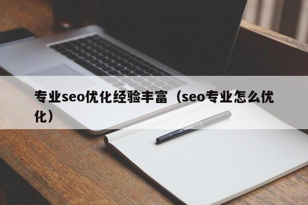 专业seo优化经验丰富（seo专业怎么优化）