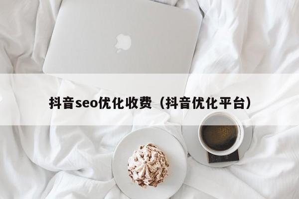 抖音seo优化收费（抖音优化平台）