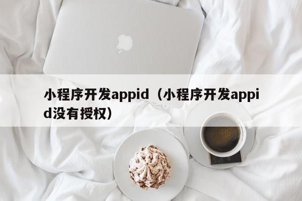 小程序开发appid（小程序开发appid没有授权）