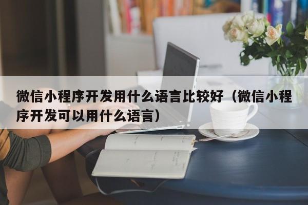 微信小程序开发用什么语言比较好（微信小程序开发可以用什么语言）