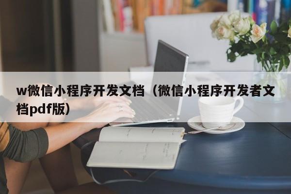 w微信小程序开发文档（微信小程序开发者文档pdf版）