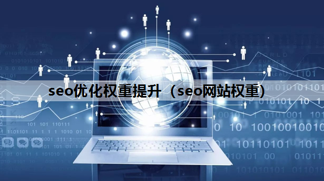 seo优化权重提升（seo网站权重）