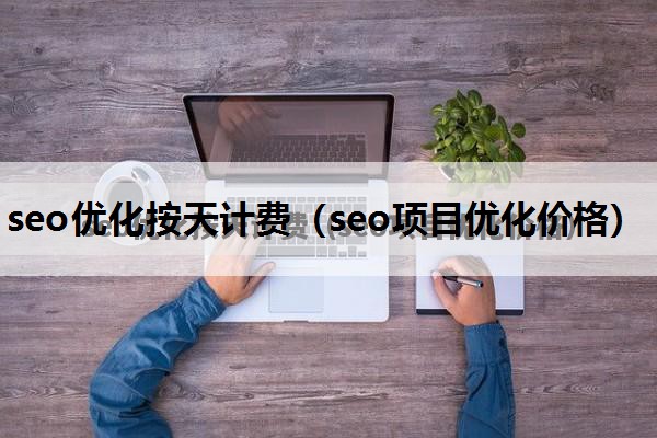 seo优化按天计费（seo项目优化价格）