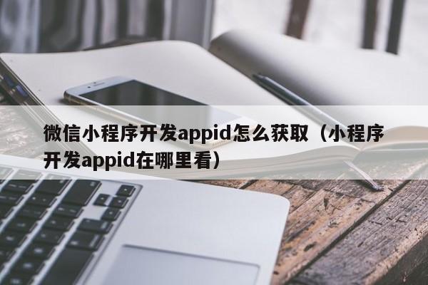 微信小程序开发appid怎么获取（小程序开发appid在哪里看）