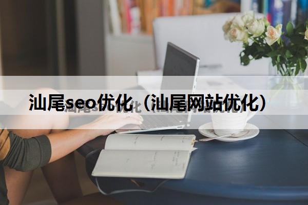 汕尾seo优化（汕尾网站优化）