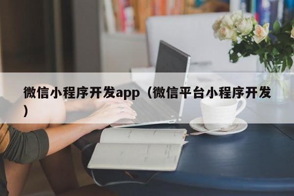 微信小程序开发app（微信平台小程序开发）