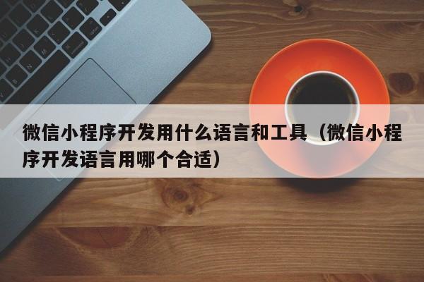 微信小程序开发用什么语言和工具（微信小程序开发语言用哪个合适）