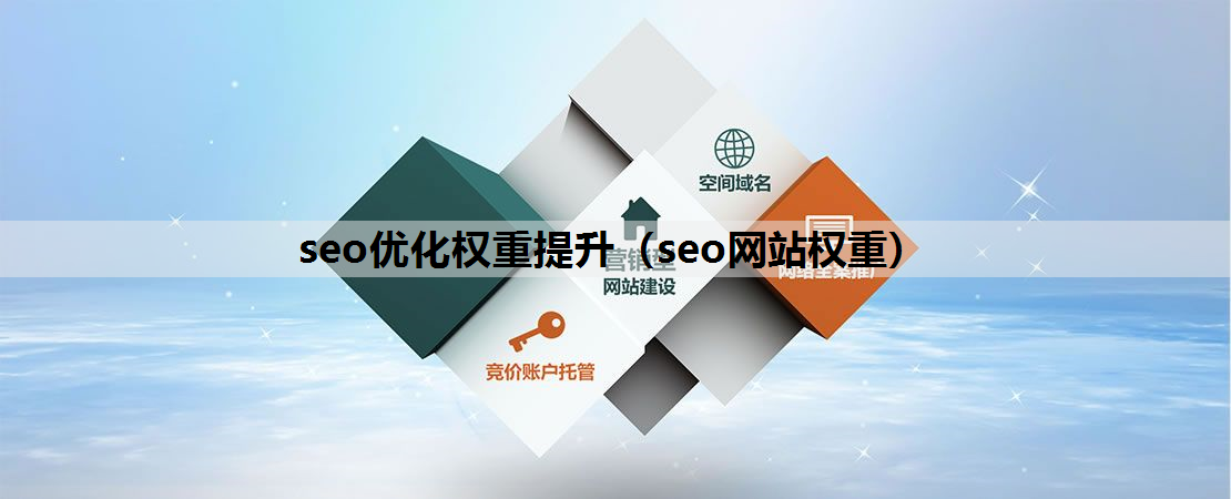 seo优化权重提升（seo网站权重）