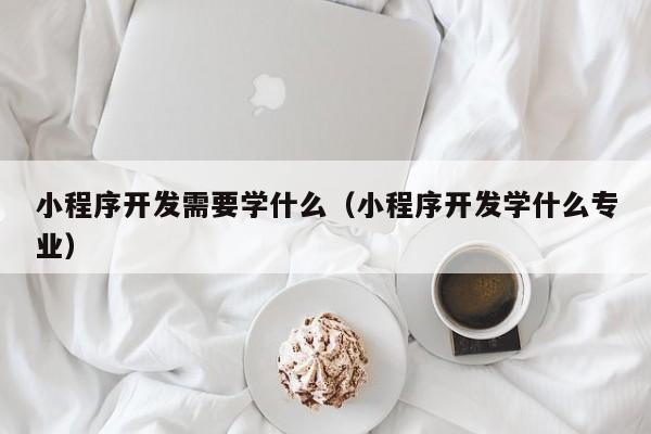 小程序开发需要学什么（小程序开发学什么专业）