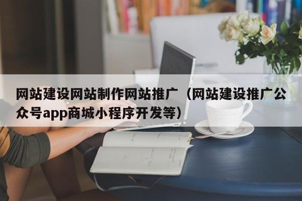 网站建设网站制作网站推广（网站建设推广公众号app商城小程序开发等）