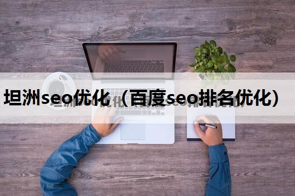 坦洲seo优化（百度seo排名优化）