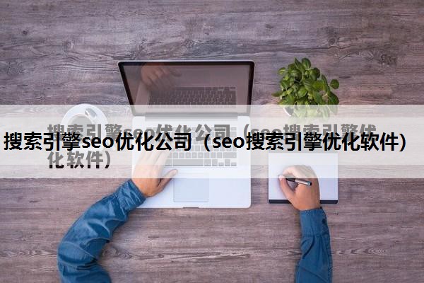 搜索引擎seo优化公司（seo搜索引擎优化软件）